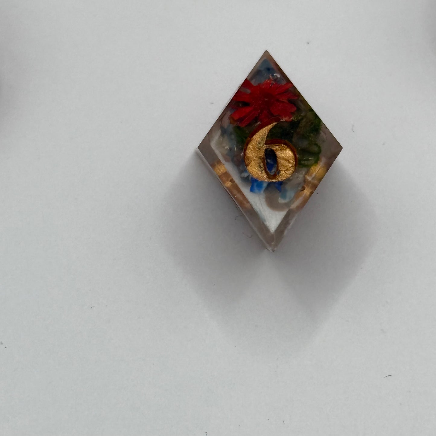 Cocoa's Bloom PRE-ORDER